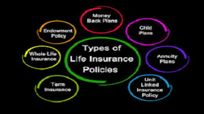 Life Insurance Business