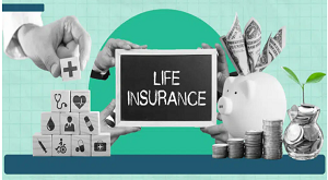 Life Insurance in the USA: A Shield for Your Loved Ones' Financial Future